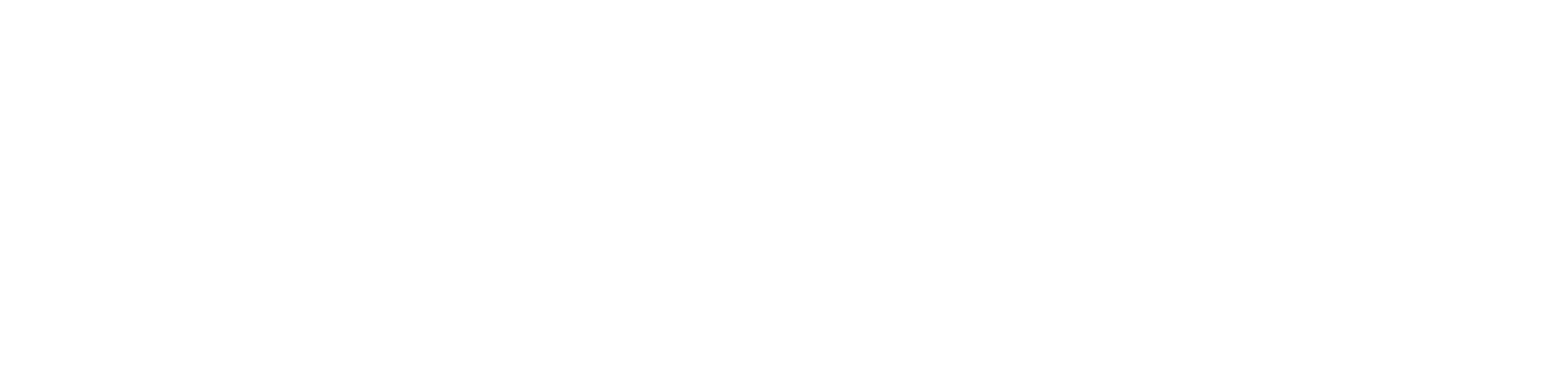 BizInsights